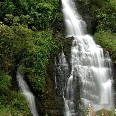 拯救小松鼠